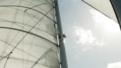 Baking - professional stock photography