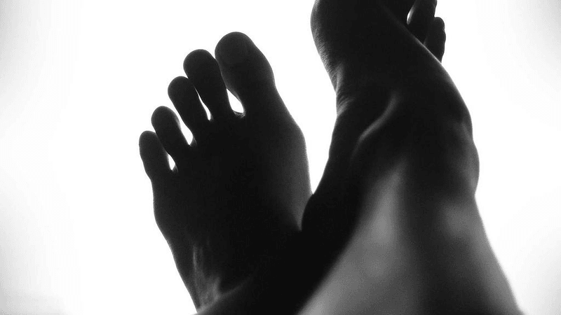 Barbecue - professional stock photography