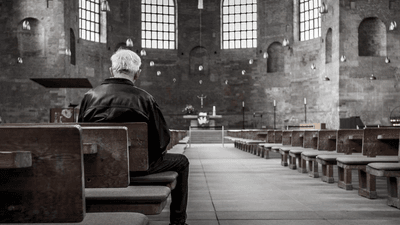 Barbecue - professional stock photography