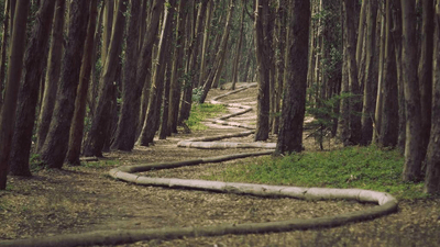 Bread - professional stock photography