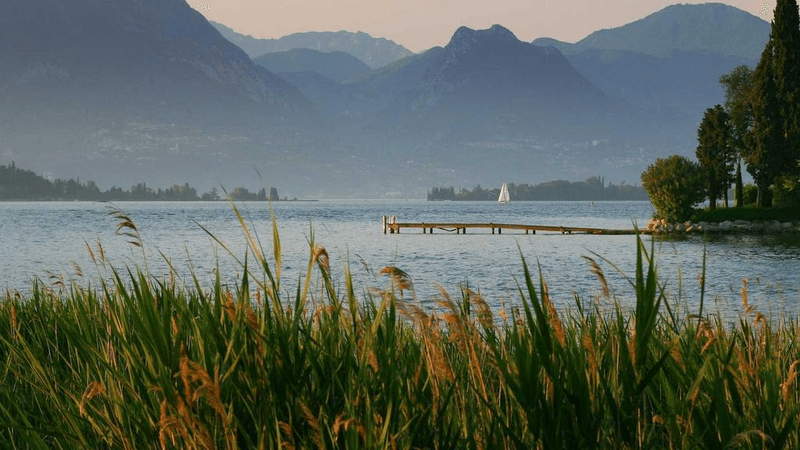 Bread - professional stock photography