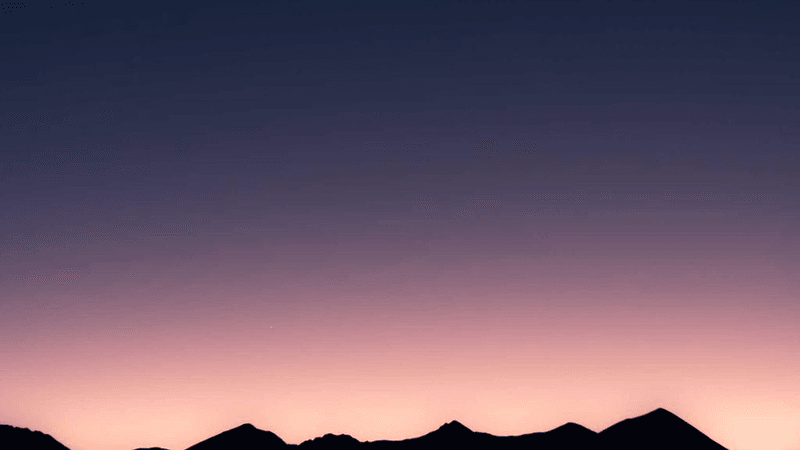 Cake - professional stock photography