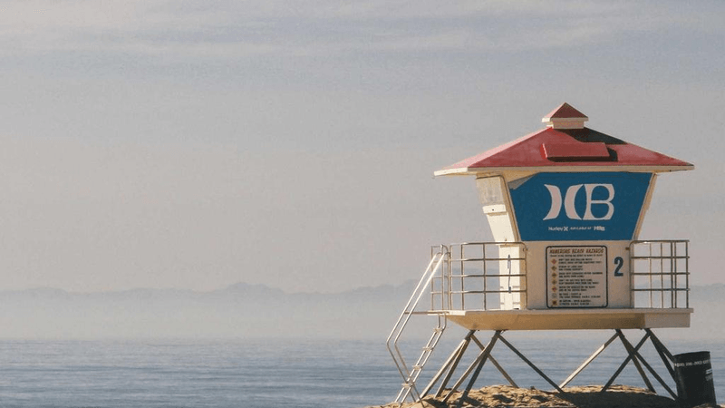 Cake - professional stock photography