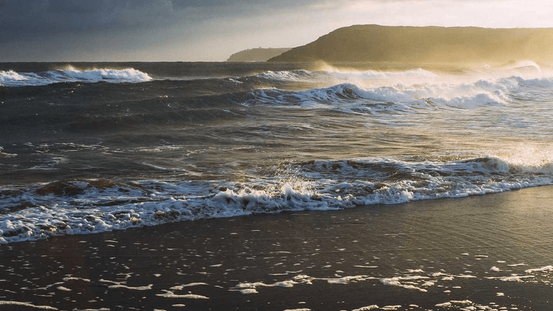 Grilling - professional stock photography