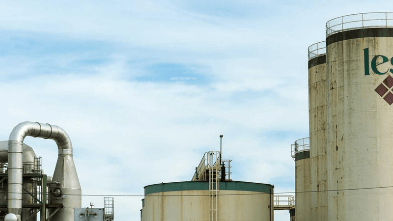 Grilling - professional stock photography