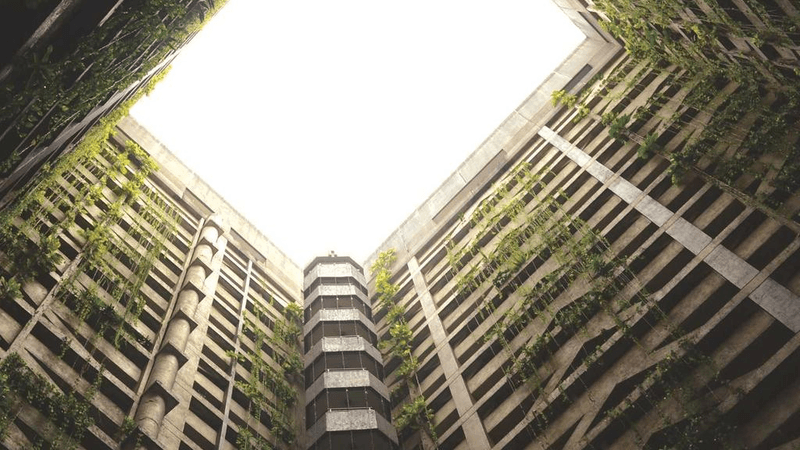 Herbs - professional stock photography