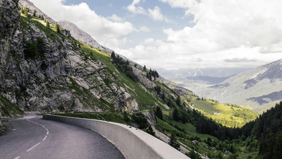 Herbs - professional stock photography