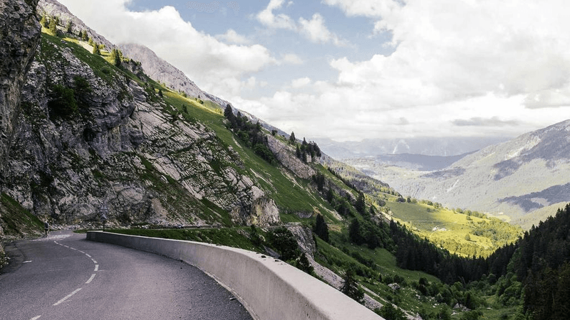 Herbs - professional stock photography