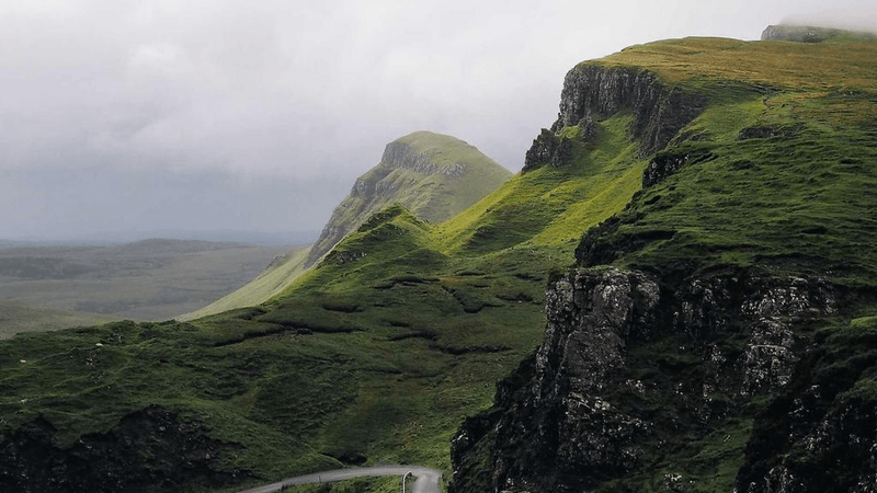 Herbs - professional stock photography