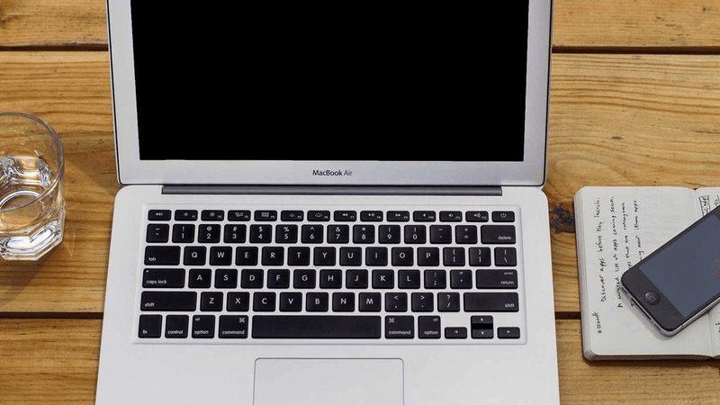 Herbs - professional stock photography