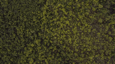 Kitchen - professional stock photography