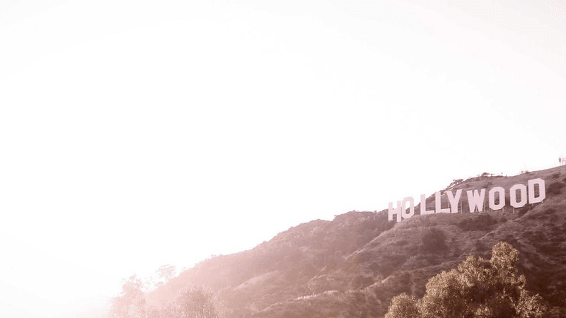 Pasta - professional stock photography