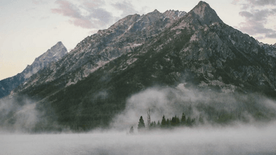 Pasta - professional stock photography