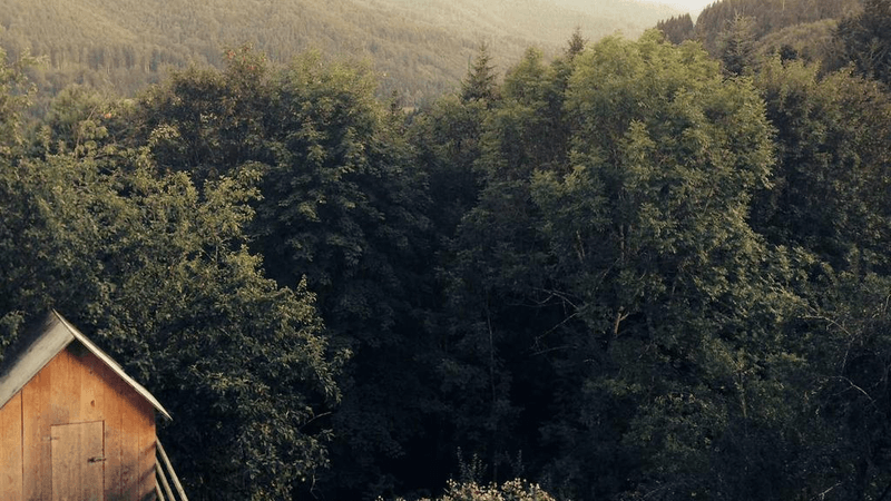 Pizza - professional stock photography