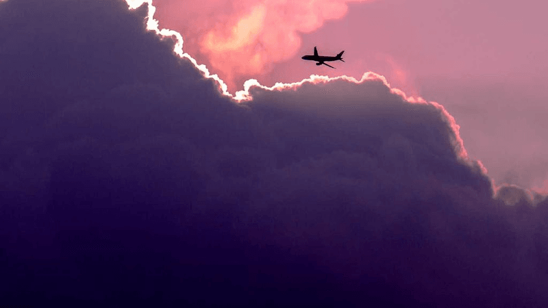 Pizza - professional stock photography