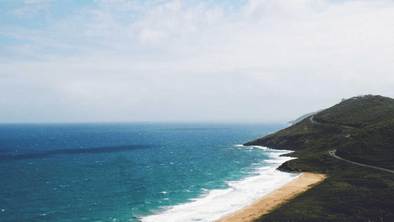 Pizza - professional stock photography