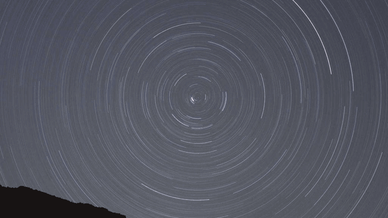 Pizza - professional stock photography