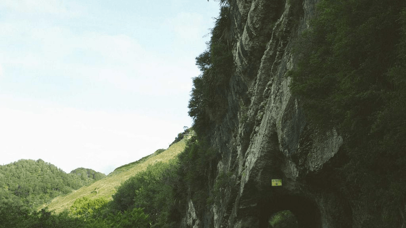 Salad - professional stock photography