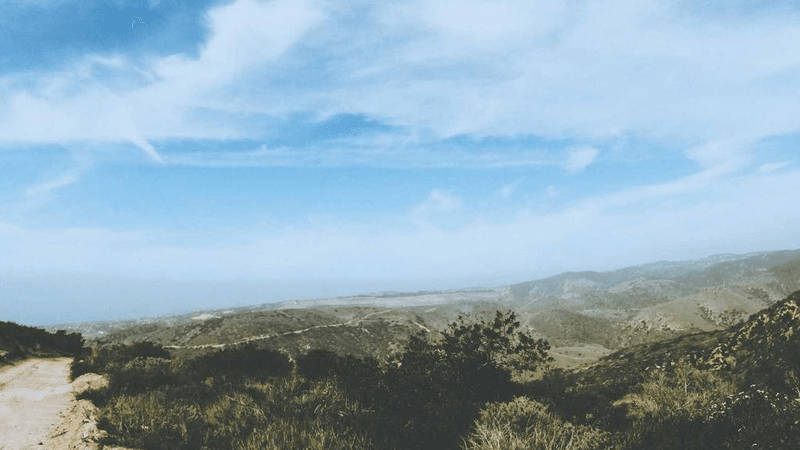 Salad - professional stock photography