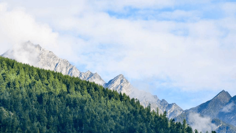 Seafood - professional stock photography
