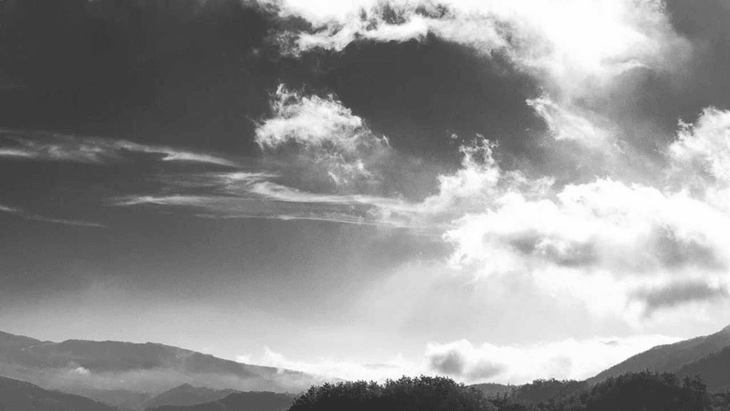 Smoothie - professional stock photography