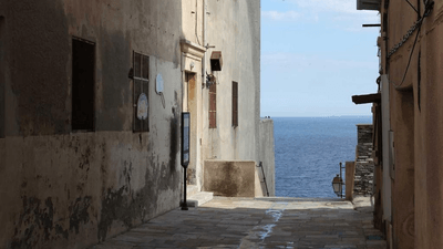 Soup - professional stock photography