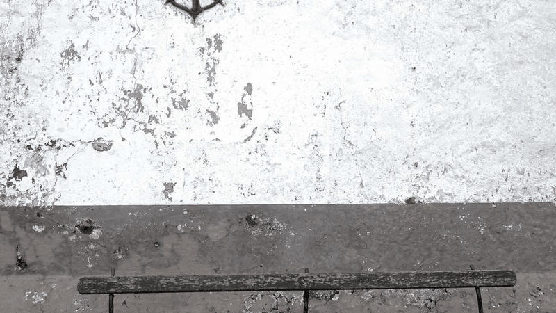 Spices - professional stock photography