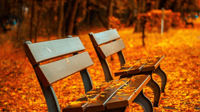 Spices - professional stock photography