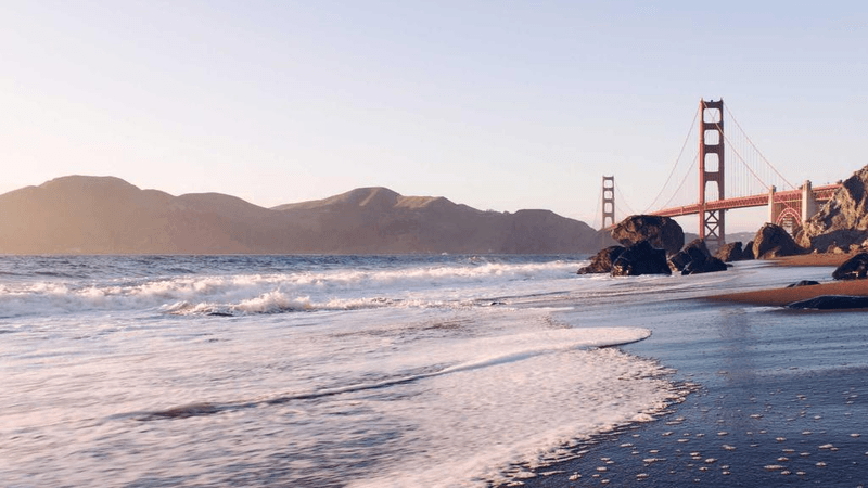 Spices - professional stock photography