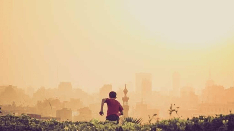 Steak - professional stock photography