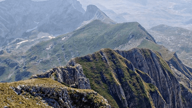 Sushi - professional stock photography