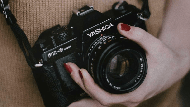 Vegetables - professional stock photography