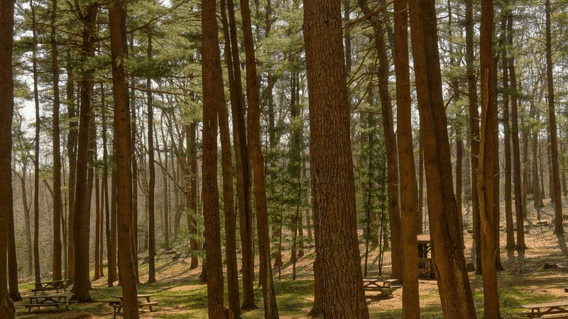 Wok - professional stock photography