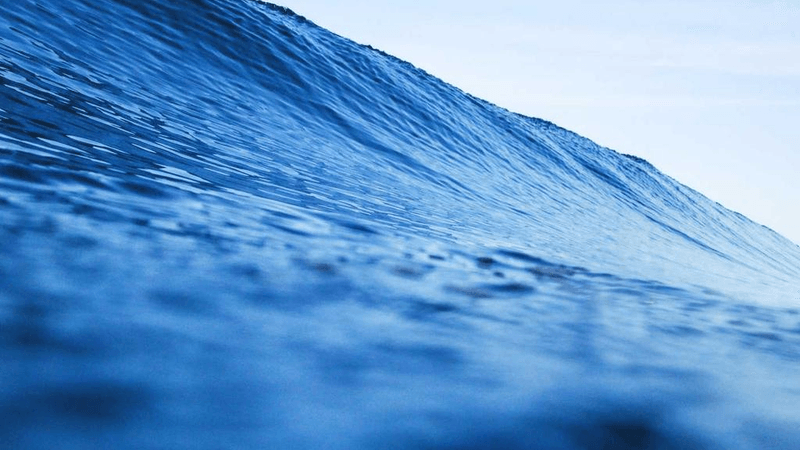 Wok - professional stock photography