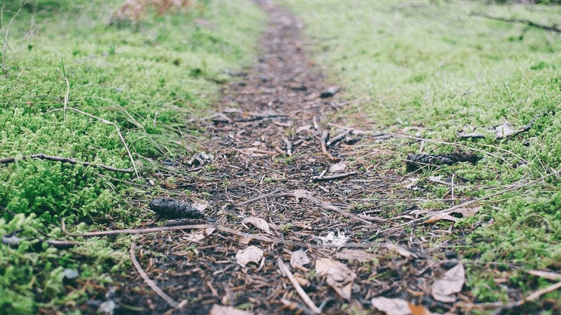 Wok - professional stock photography